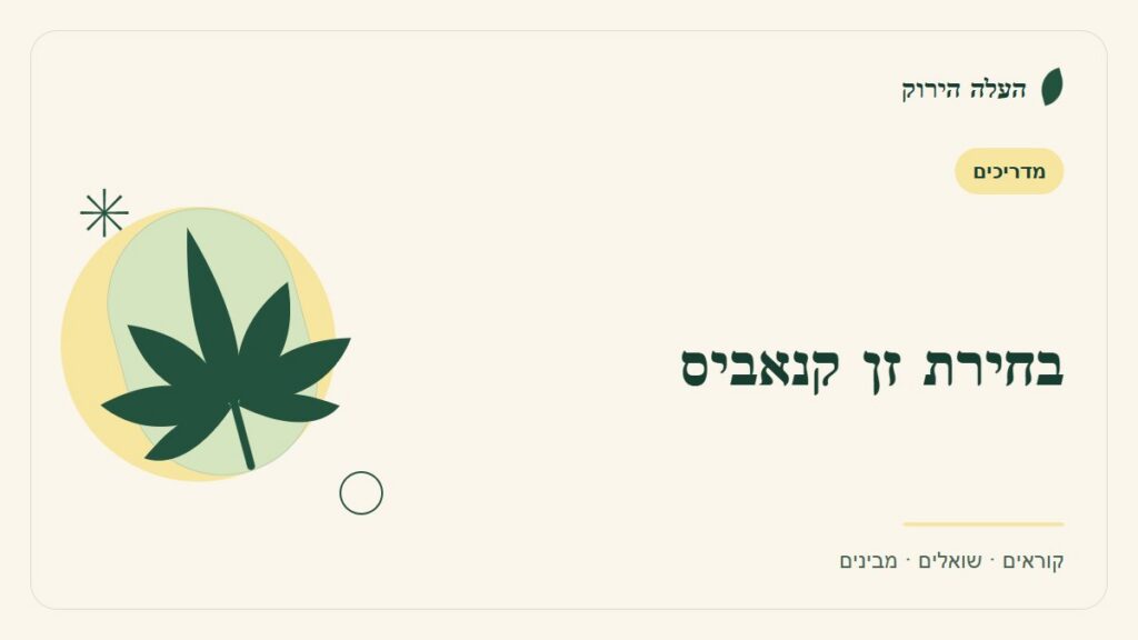 איור לכתבה: בחירת זן קנאביס: למה מתחילים מהמידע ולא מהשם