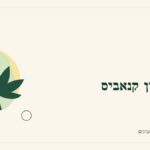איור לכתבה: בחירת זן קנאביס: למה מתחילים מהמידע ולא מהשם