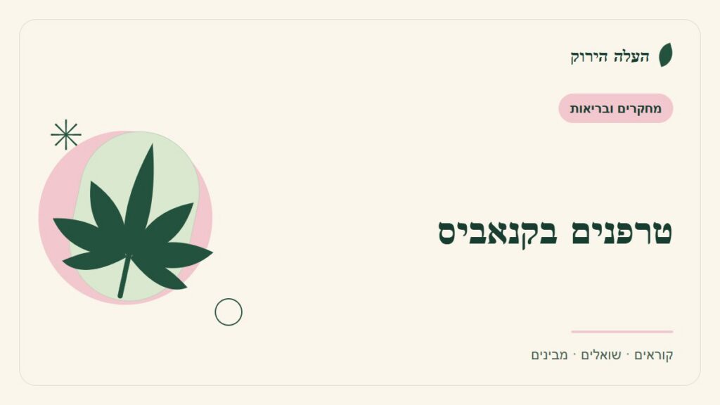 איור לכתבה: טרפנים בקנאביס: מתחילים מהריח, נשארים עם שאלות