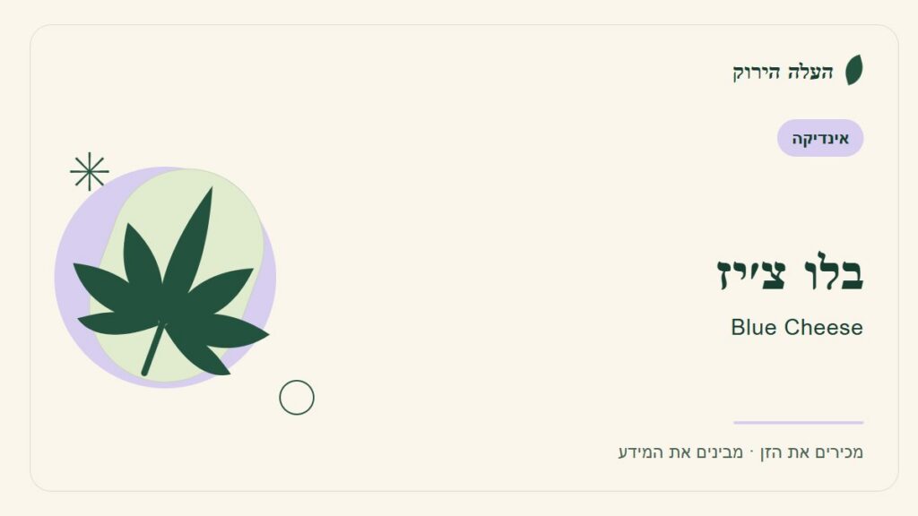 איור לכתבה: בלו צ׳יז: מדריך ראשון לשם, לרקע ולתיאור הזן