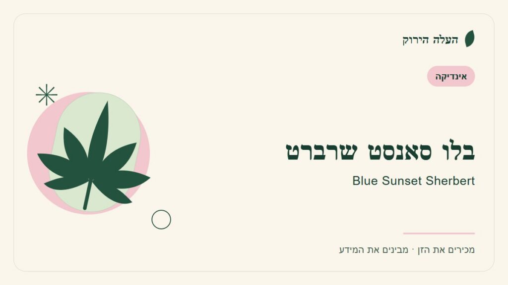 איור לכתבה: בלו סאנסט שרברט: מדריך ראשון לשם, לרקע ולתיאור הזן