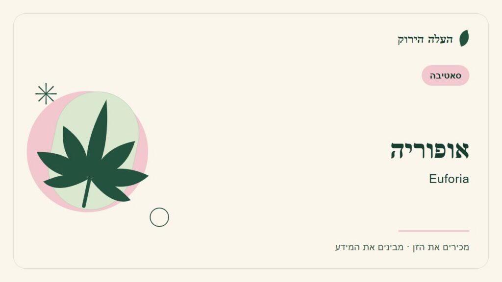 איור לכתבה: אופוריה: מה מספר הקטלוג ומה עדיין לא ברור?