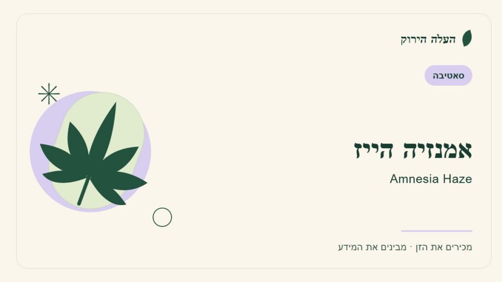 איור לכתבה: אמנזיה הייז: מדריך ראשון לשם, לרקע ולתיאור הזן