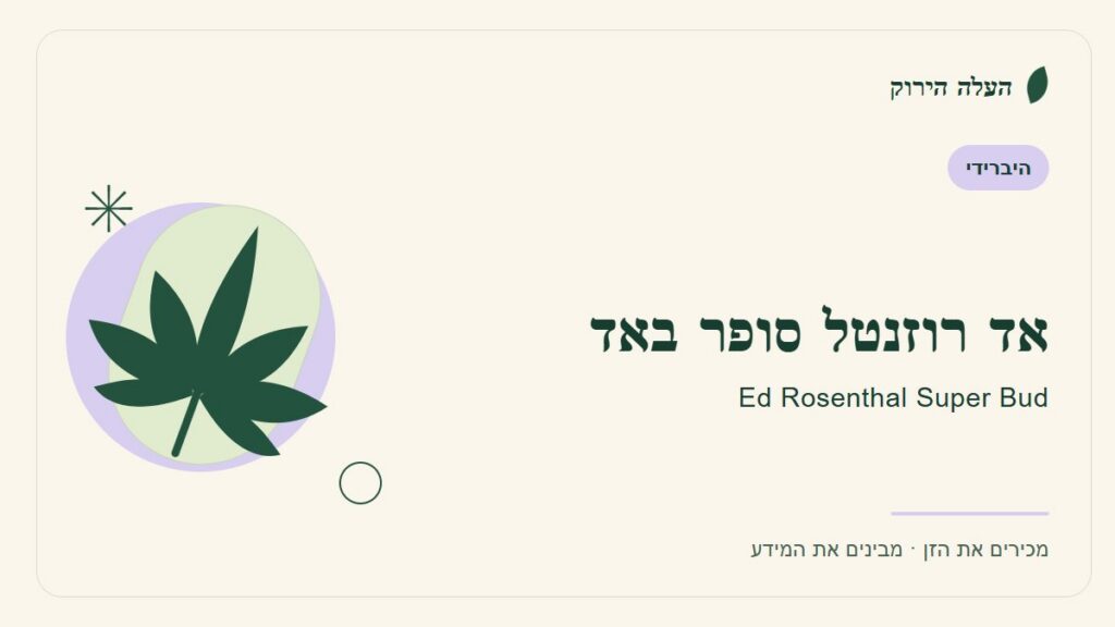 איור לכתבה: אד רוזנטל סופר באד: מה מספר הקטלוג ומה עדיין לא ברור?