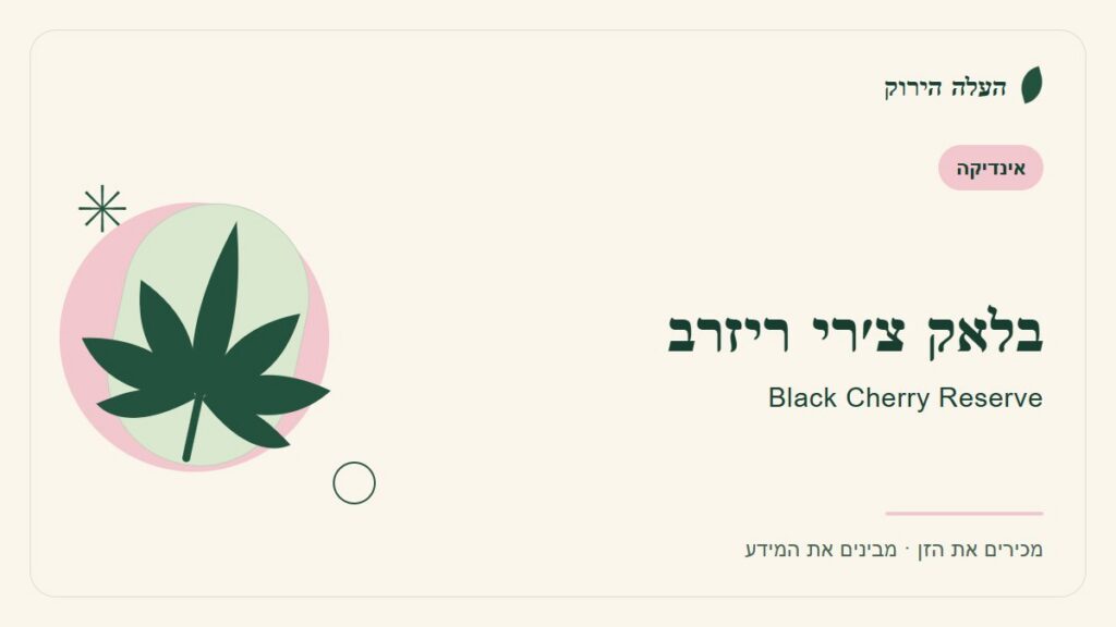 איור לכתבה: בלאק צ׳רי ריזרב: מדריך ראשון לשם, לרקע ולתיאור הזן