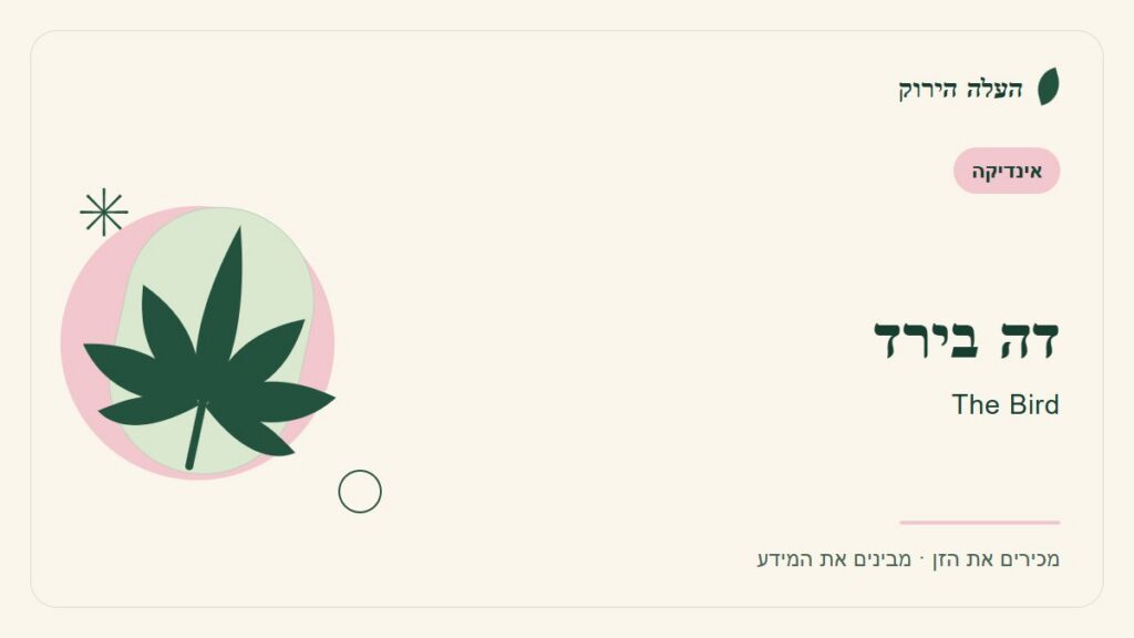 איור לכתבה: דה בירד: מדריך ראשון לשם, לרקע ולתיאור הזן