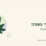 איור לכתבה: פרפל ברי מאפינז: מדריך ראשון לשם, לרקע ולתיאור הזן