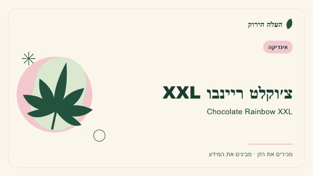 איור לכתבה: צ׳וקלט ריינבו XXL: מדריך ראשון לשם, לרקע ולתיאור הזן