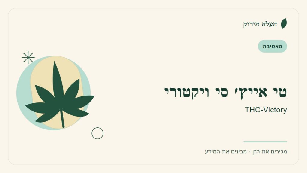 איור לכתבה: טי אייץ׳ סי ויקטורי: מה מספר הקטלוג ומה עדיין לא ברור?