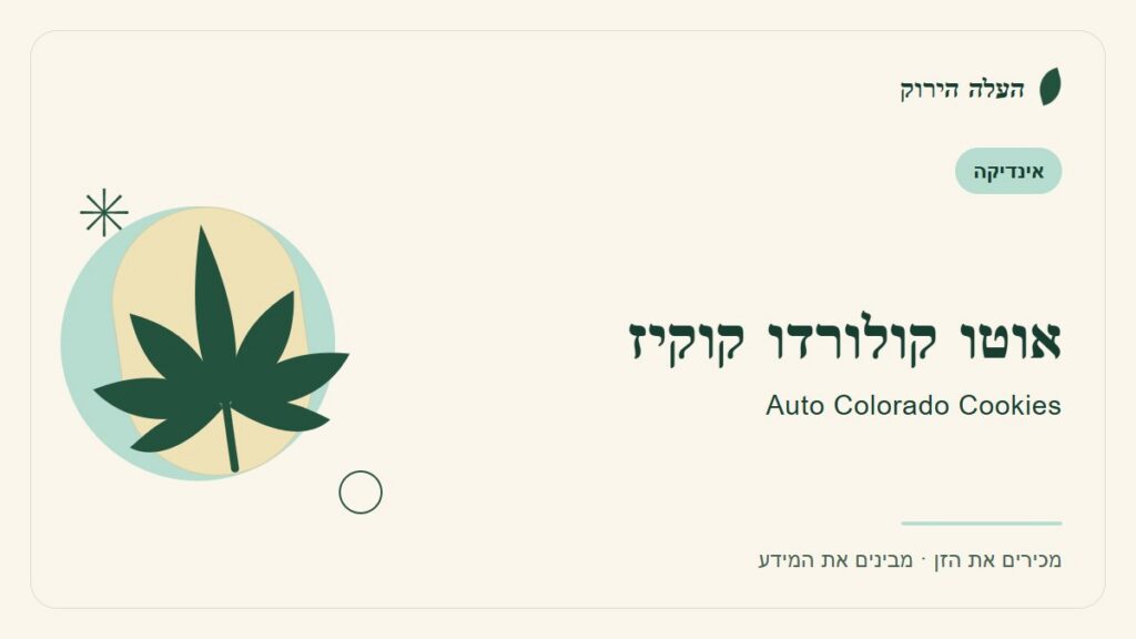 איור לכתבה: אוטו קולורדו קוקיז: מדריך ראשון לשם, לרקע ולתיאור הזן