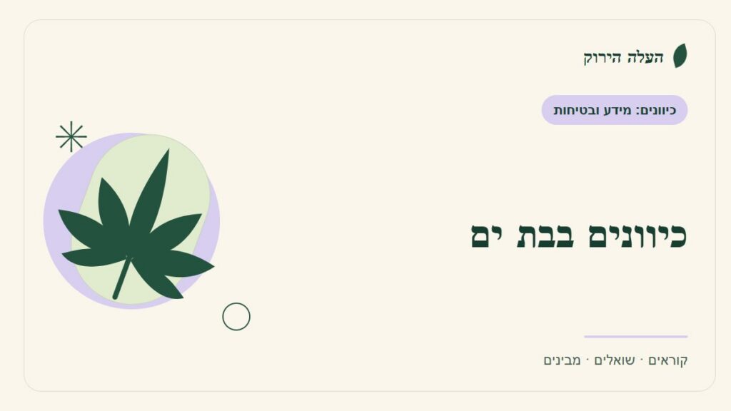 איור לכתבה: כיוונים בבת ים: נותנים מקום להתלבטות ולבקשת עזרה