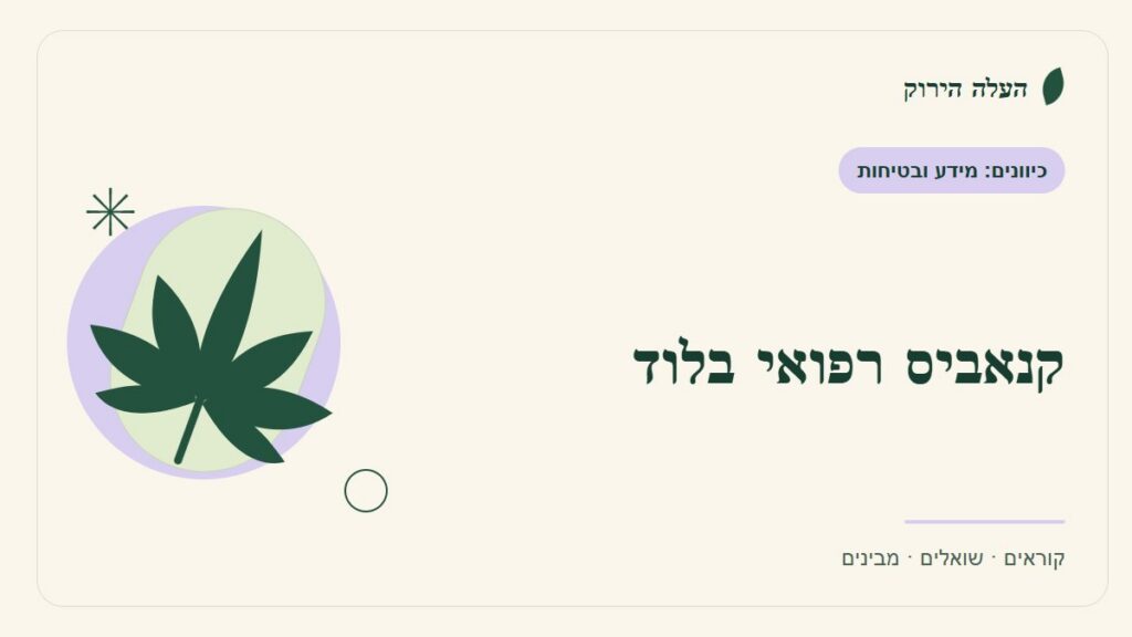 איור לכתבה: קנאביס רפואי בלוד: מבקשים הסבר בשפה שמבינים
