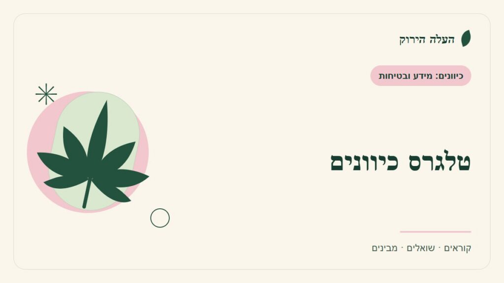 איור לכתבה: טלגרס כיוונים: איך מתארגנים על מידע אמין?