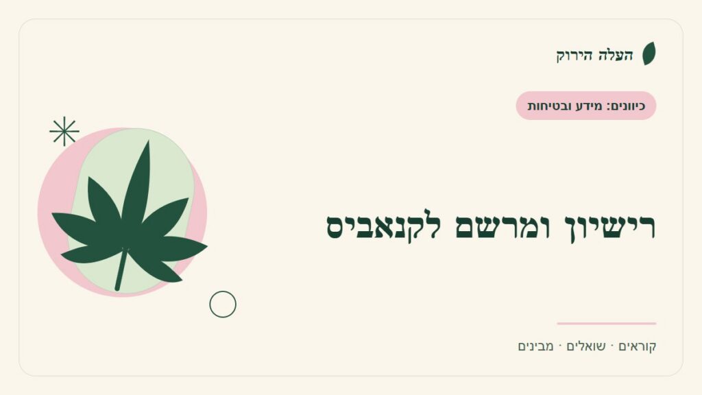 איור לכתבה: רישיון, מרשם ובקשה לקנאביס: עושים סדר במסמכים