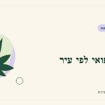 איור לכתבה: מידע רפואי לפי עיר: מוצאים מקור שמתאים לשאלה