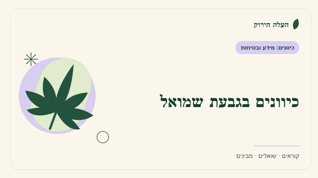 איור לכתבה: כיוונים בגבעת שמואל: לפני שמעבירים מסמך בקבוצה